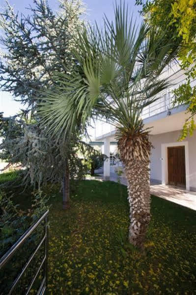 Apartments Maja Podstrana Dış mekan fotoğraf